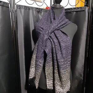 Capelli of New York Women's Purple Blue and Gray Scarf